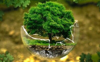 Living Green Daily: Turning Awareness into Action