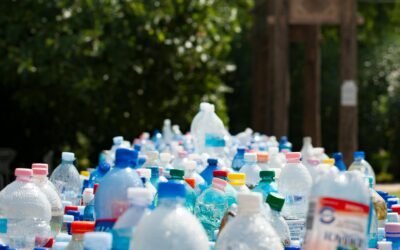 What Makes Avenir Environment Stand Out in Waste Management